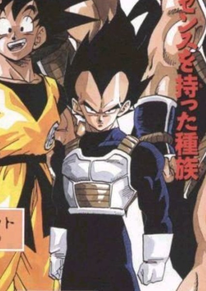 Vegeta photo