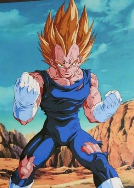 Vegeta photo