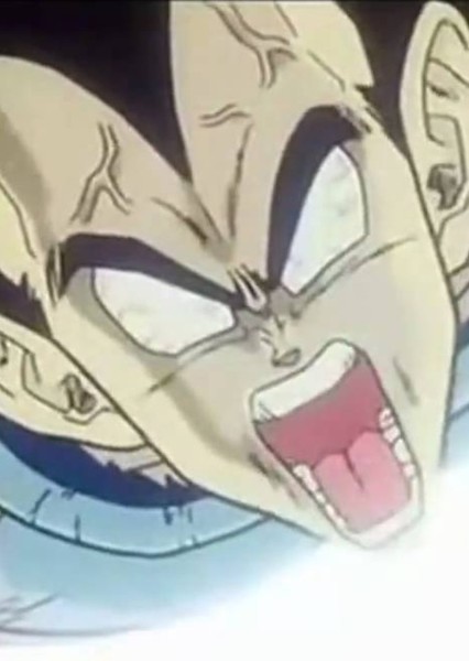 Vegeta photo
