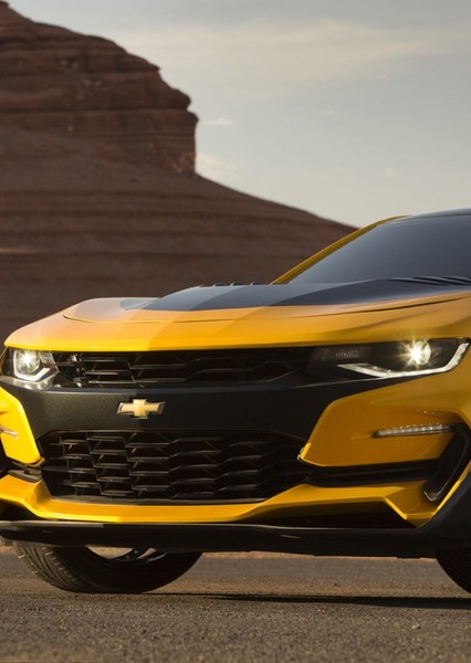 Vehicle Sound Effects photo