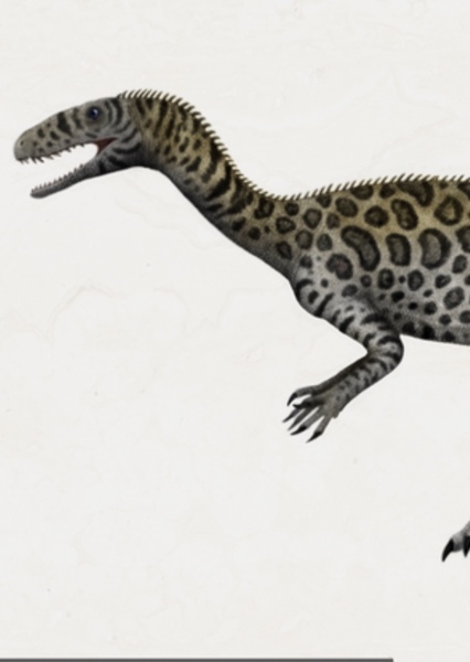 Velocipes