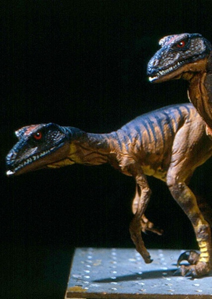 Velociraptor photo