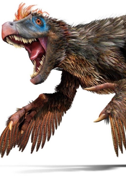 Velociraptor photo
