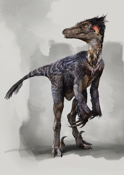 Velociraptor photo