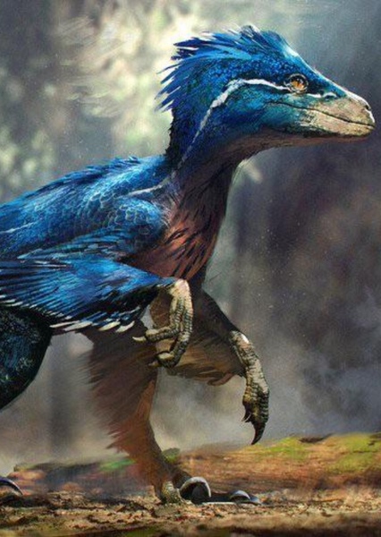 Velociraptor