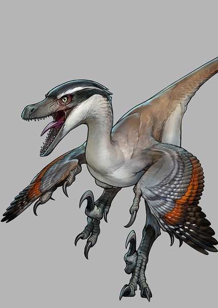 Velociraptor photo