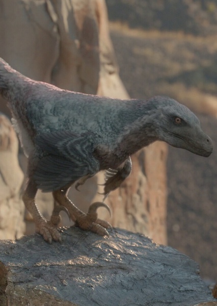 Velociraptor photo