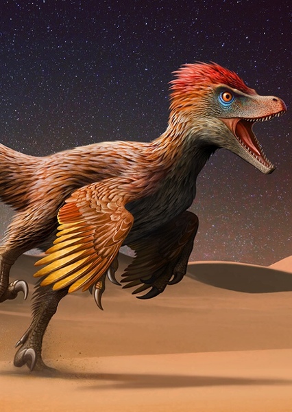 Velociraptor photo