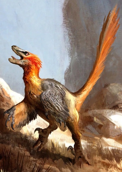 Velociraptor photo