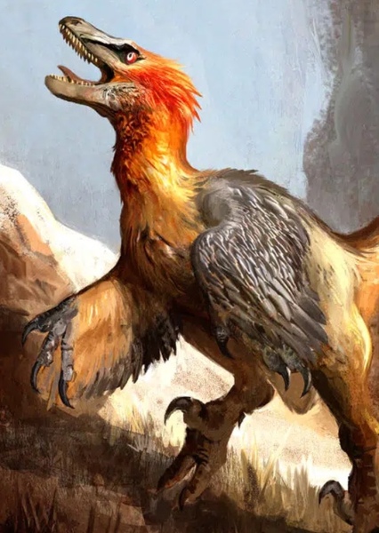 Velociraptor photo
