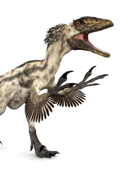 Velociraptor photo