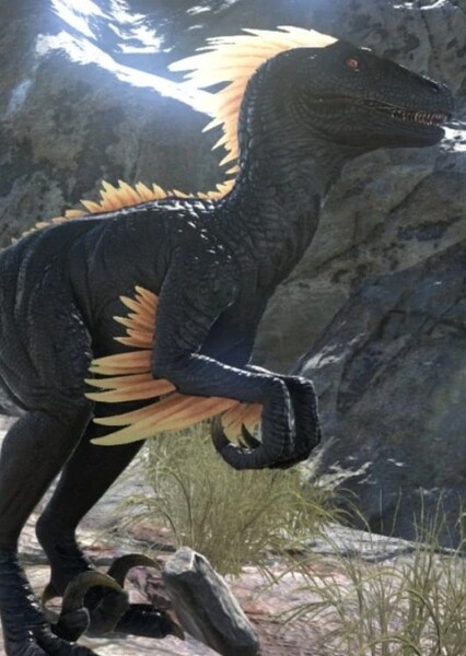 Velociraptor photo