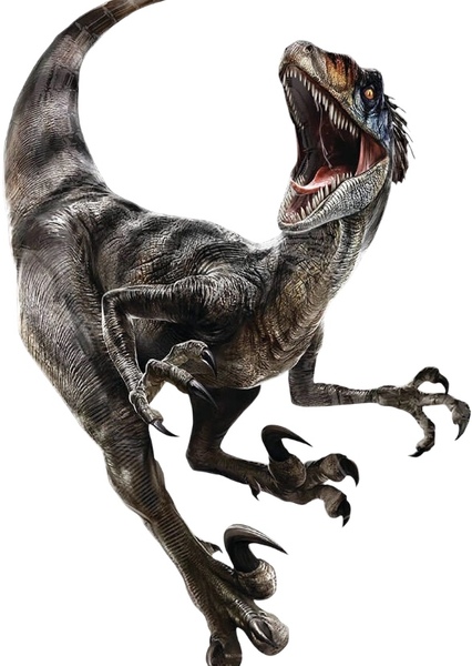 Velociraptor photo