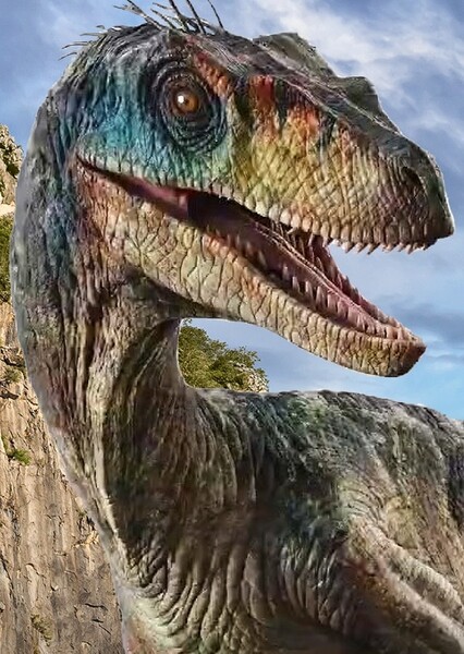 Velociraptor