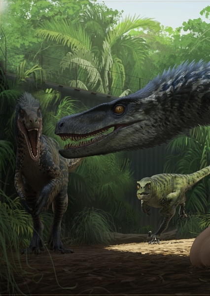 Velociraptor photo