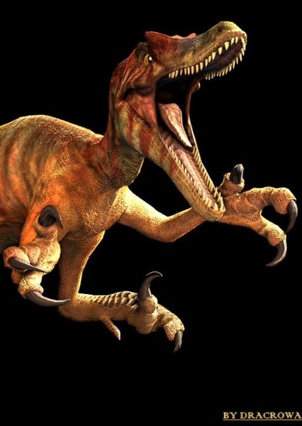 Velociraptor