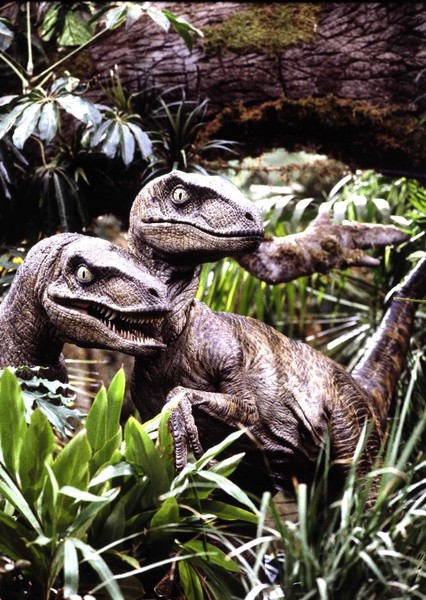 Velociraptor photo
