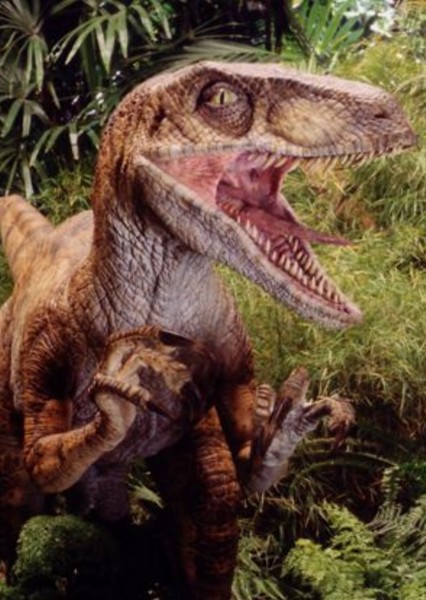 Velociraptor photo