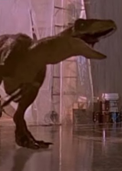 Velociraptor photo