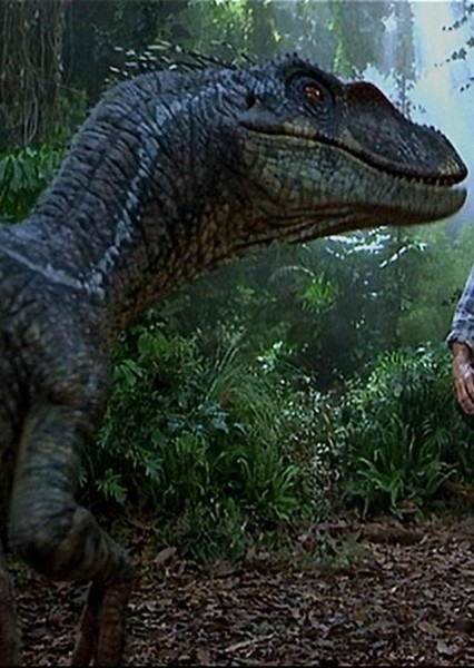 Velociraptor photo