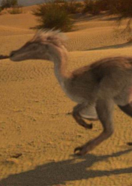 Velociraptor