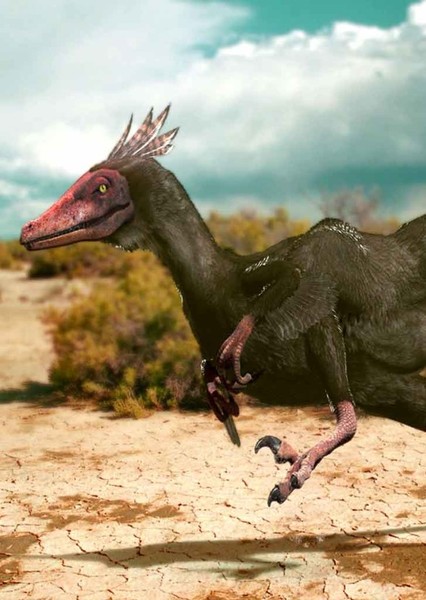 Velociraptor photo