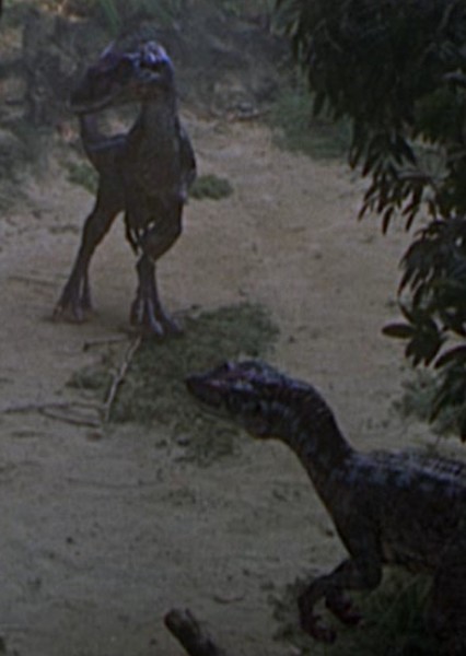 Velociraptor photo