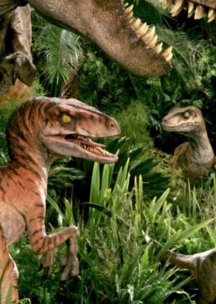 Velociraptor photo