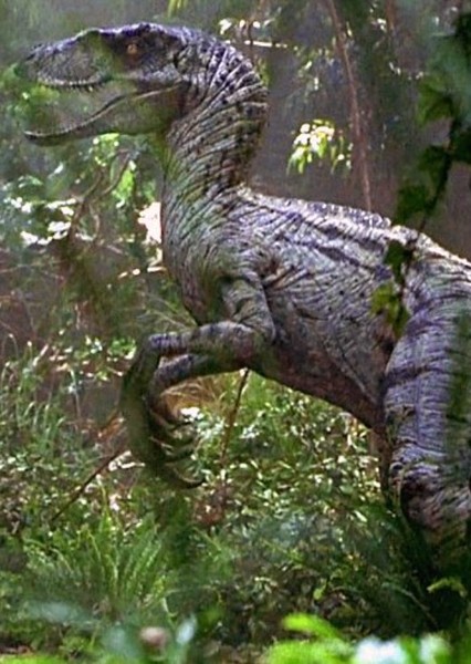 Velociraptor photo