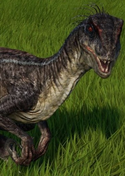 Velociraptor photo