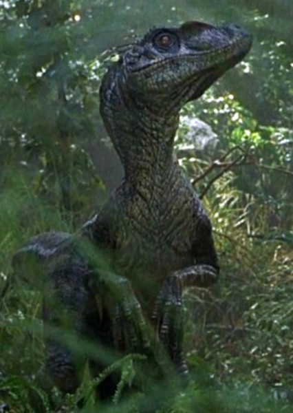 Velociraptor