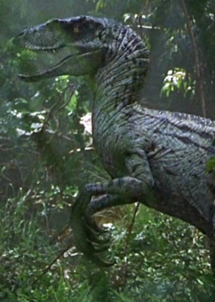 Velociraptor photo