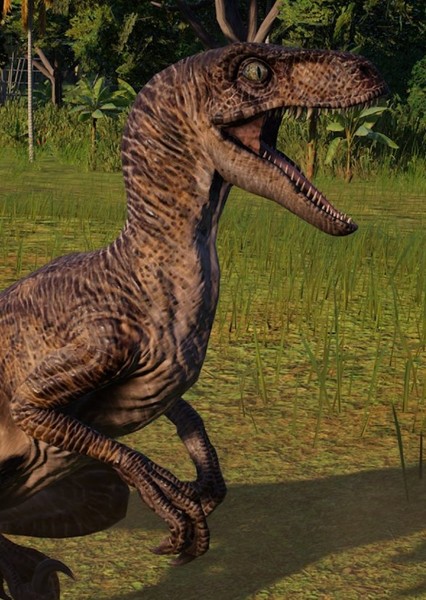 Velociraptor photo