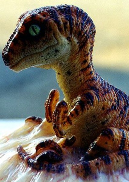 Velociraptor photo