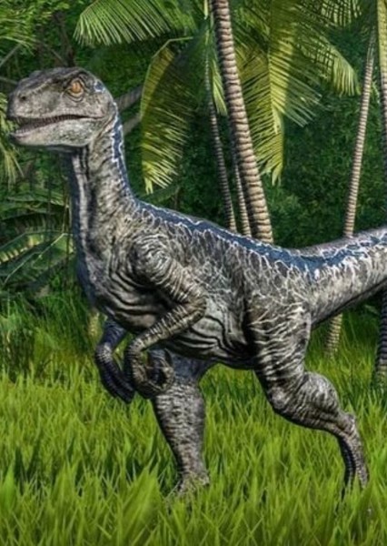 Velociraptor photo