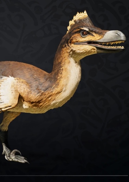 Velociraptor photo