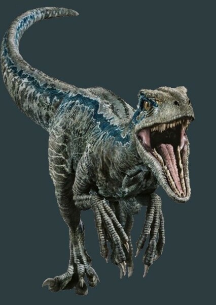 Velociraptor photo
