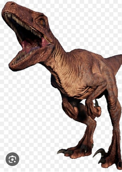 Velociraptor photo