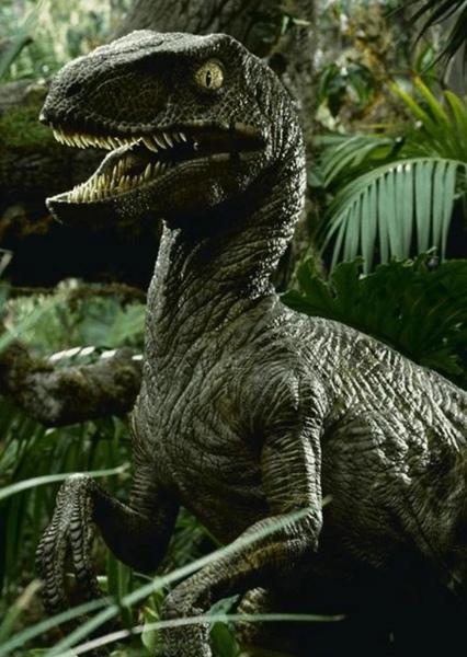Velociraptor (Jurassic Park) photo