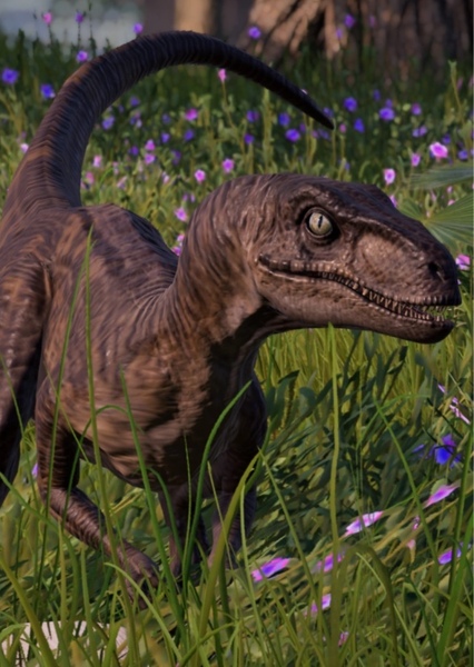 Velociraptor (Jurassic Park) photo