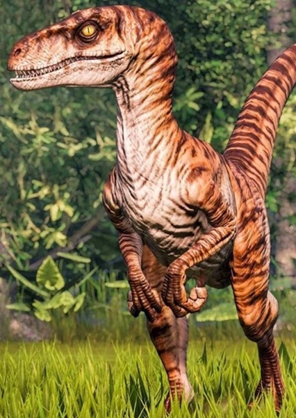 Velociraptor (Jurassic Park) photo