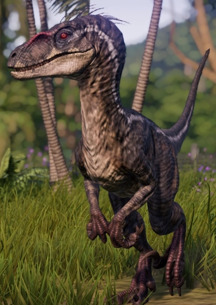 Velociraptor (Jurassic Park) photo