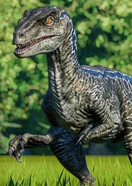 Velociraptor (Jurassic Park) photo