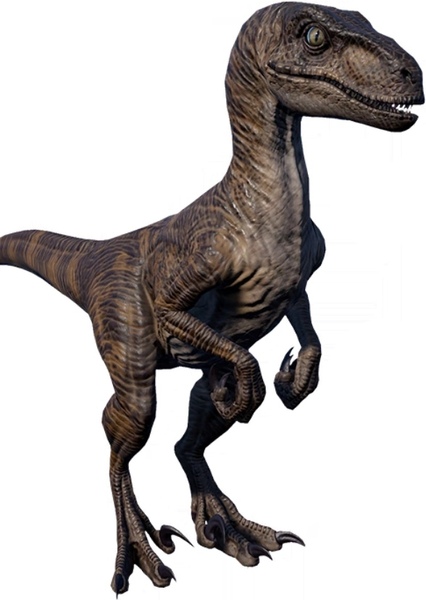 Velociraptor (Jurassic Park) photo