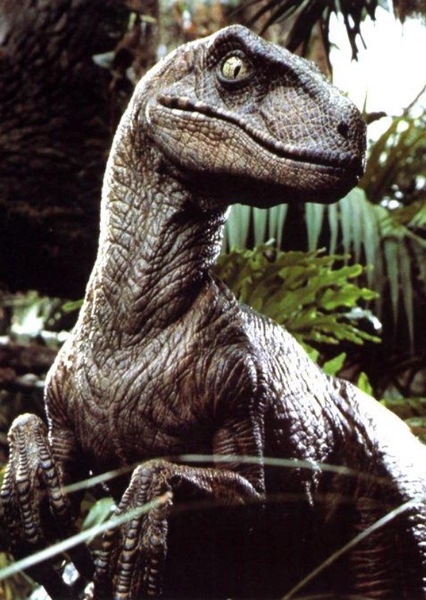 Velociraptor (Jurassic Park) photo