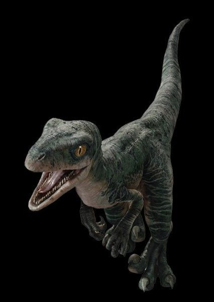 Velociraptor (Jurassic Park) photo
