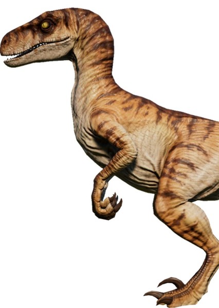 Velociraptor (Jurassic Park) photo