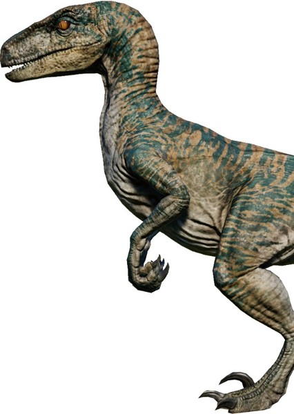Velociraptor (Jurassic Park) photo