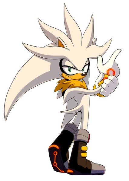 VENICE THE HEDGEHOG photo