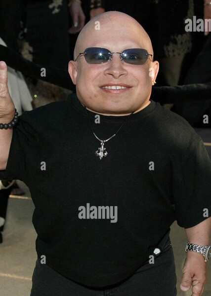 Verne Troyer photo